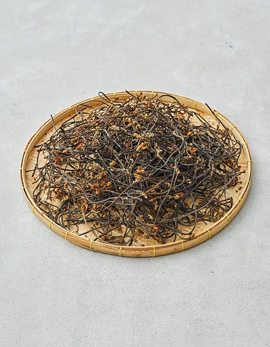 상품-대표-이미지 1