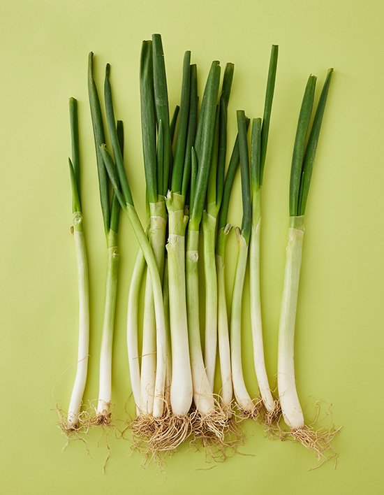 상품-대표-이미지 1