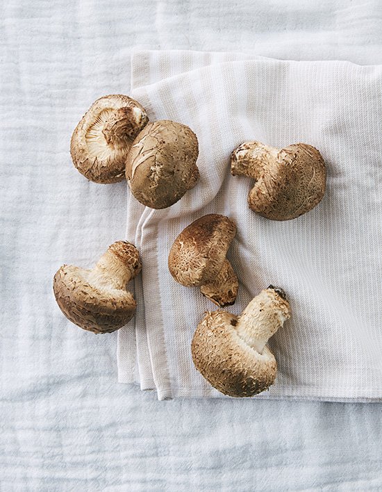 친환경 솔송화 버섯150g