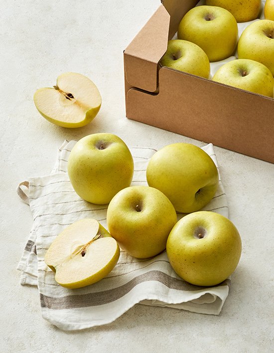 상품-대표-이미지 1