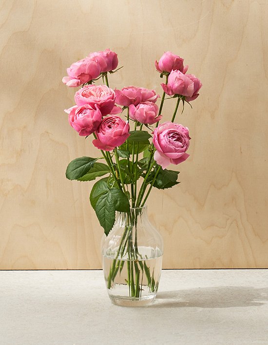 [농부의 꽃] 실바핑크 5줄기