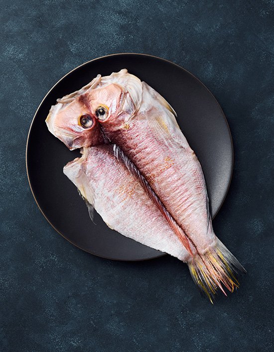 상품-대표-이미지 1