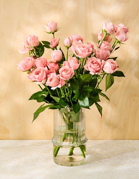 상품-대표-이미지 1