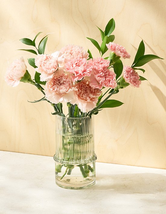 상품-대표-이미지 1