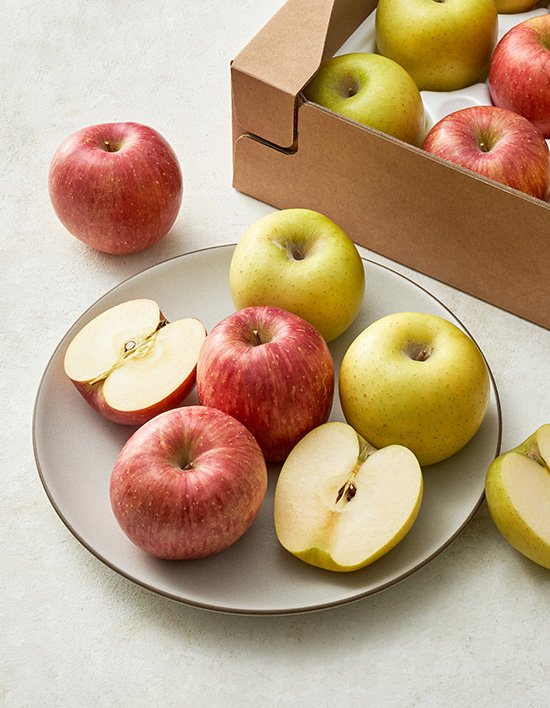 상품-대표-이미지 1