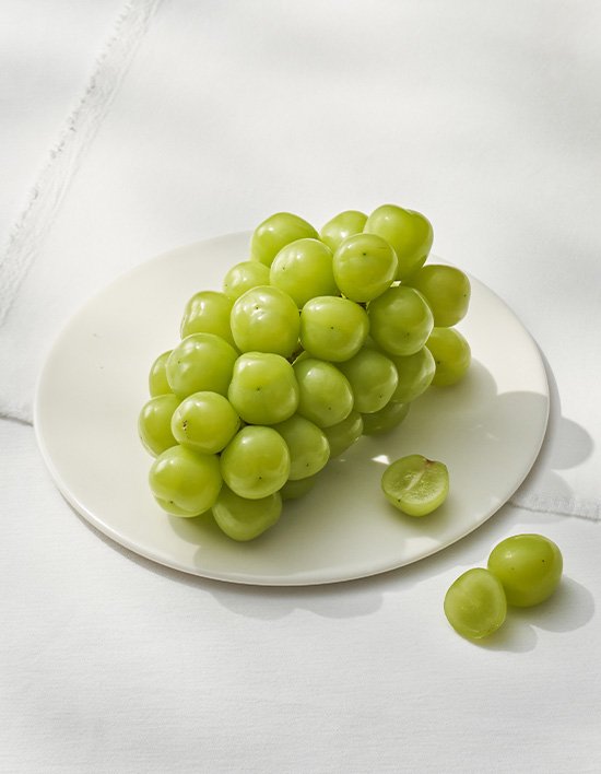 상품-대표-이미지 1