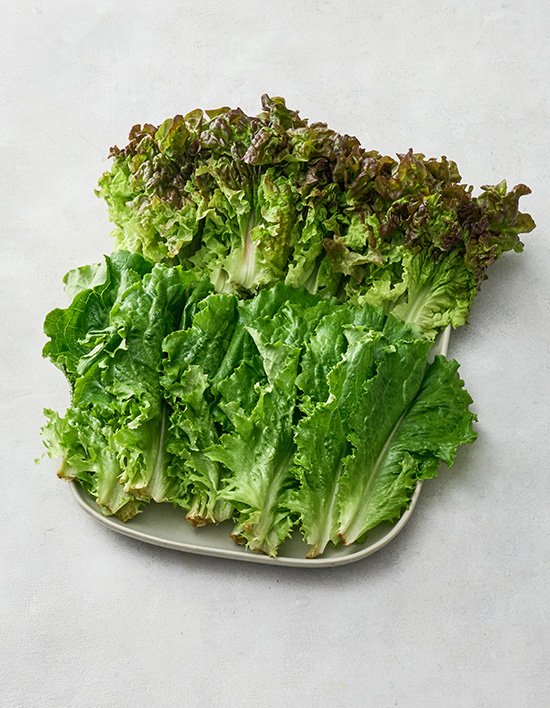 상품-대표-이미지 1