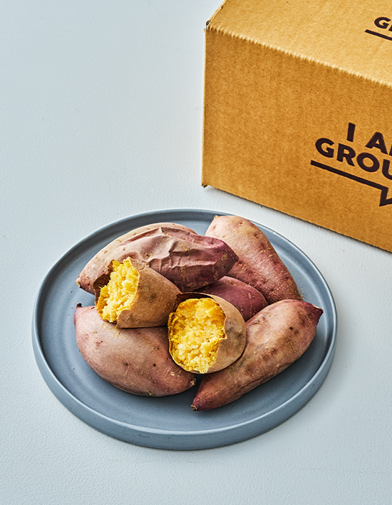 상품-대표-이미지 1