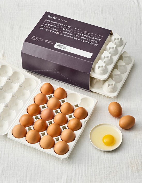 상품-대표-이미지 1