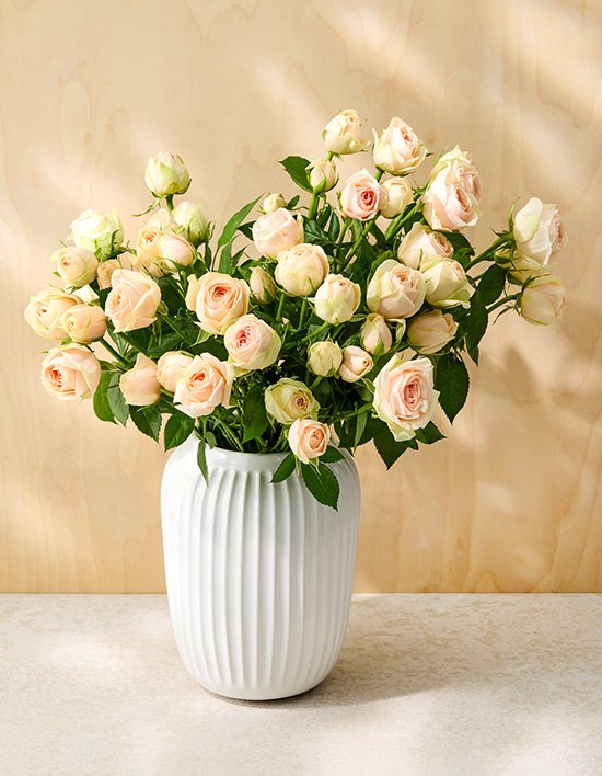 상품-대표-이미지 1