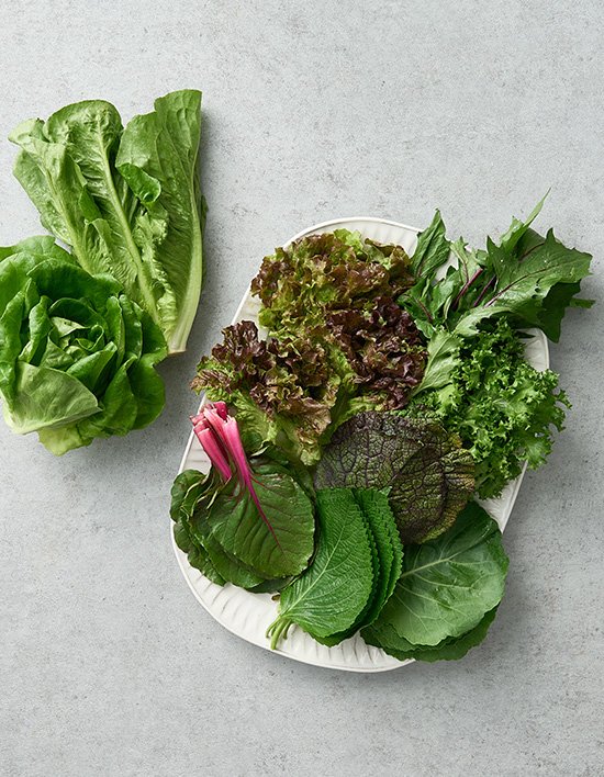 상품-대표-이미지 1