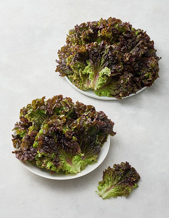 상품-대표-이미지 1