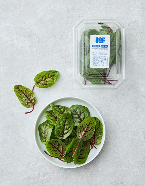 상품-대표-이미지 1