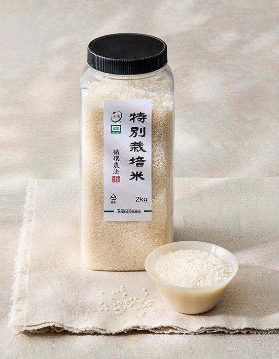 상품-대표-이미지 1