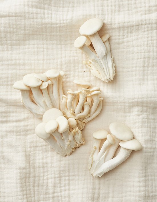 상품-대표-이미지 1