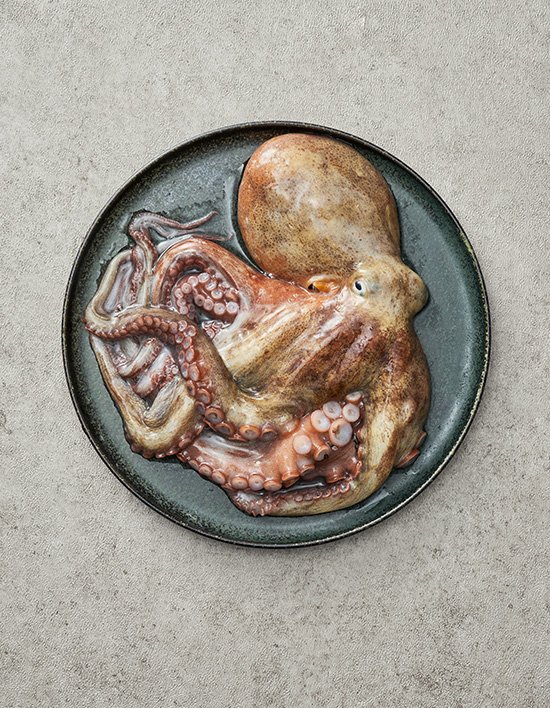 상품-대표-이미지 1