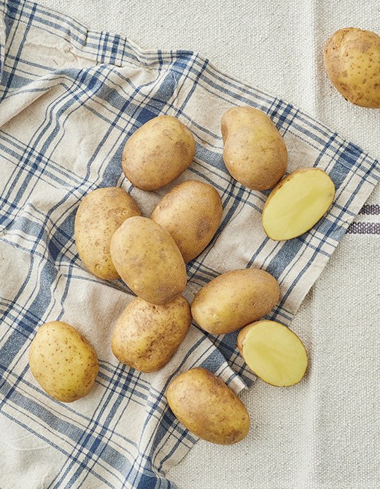 한입 골든킹 감자 1.2kg