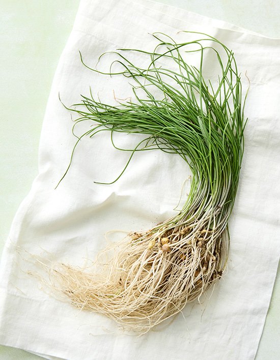 상품-대표-이미지 1