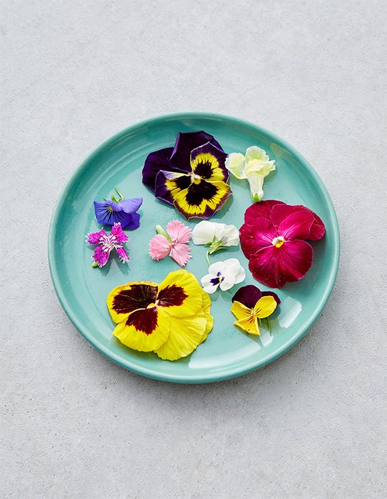 상품-대표-이미지 1