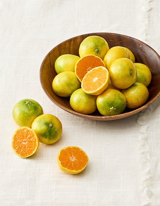 제주 신효 하우스 감귤 1.2kg