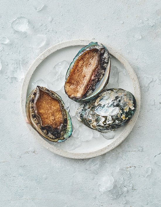 상품-대표-이미지 1