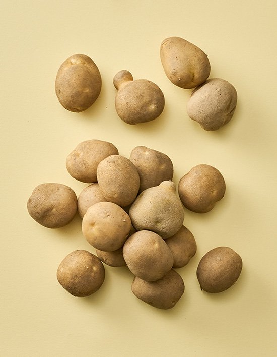 상품-대표-이미지 1