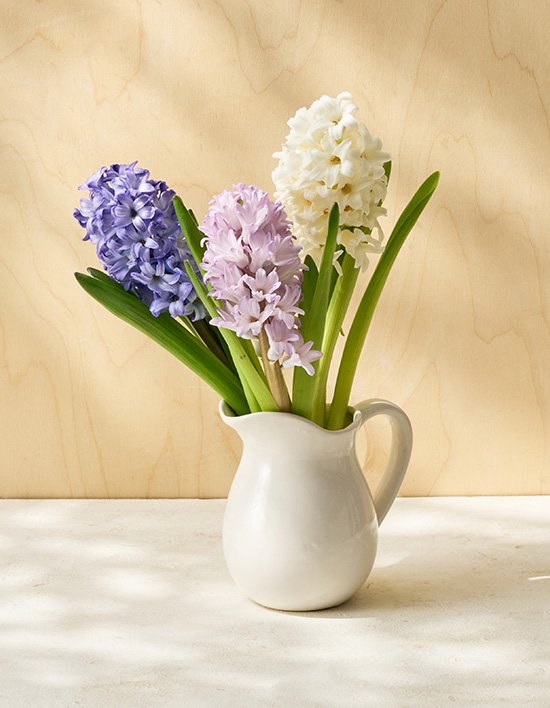 상품-대표-이미지 1