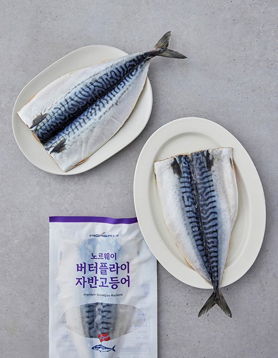 상품-대표-이미지 1