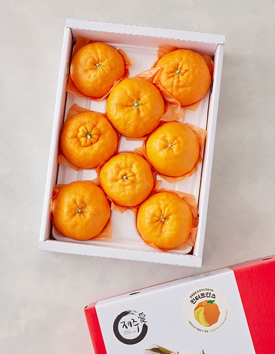 상품-대표-이미지 1