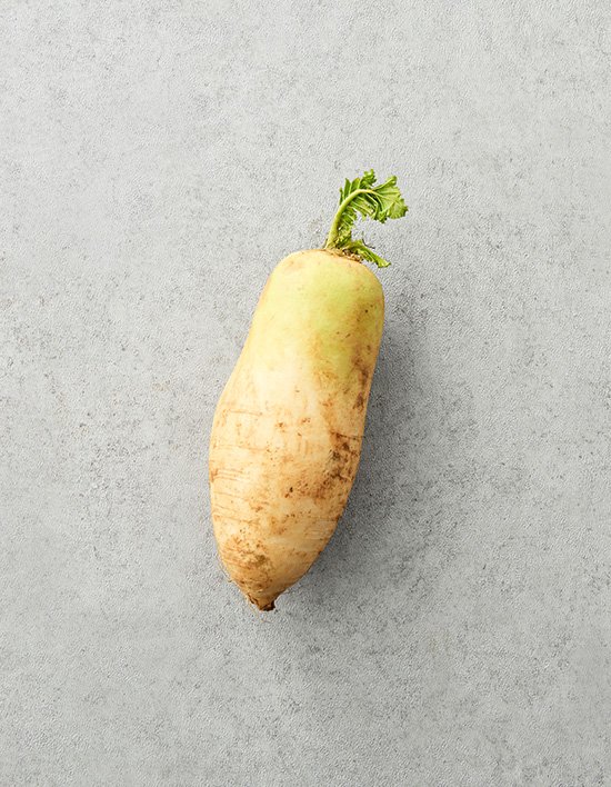 상품-대표-이미지 1