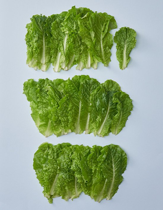 상품-대표-이미지 1