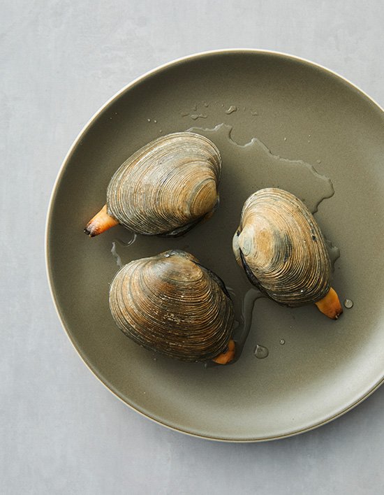 상품-대표-이미지 1