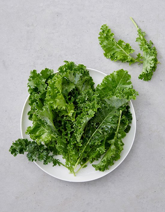 상품-대표-이미지 1