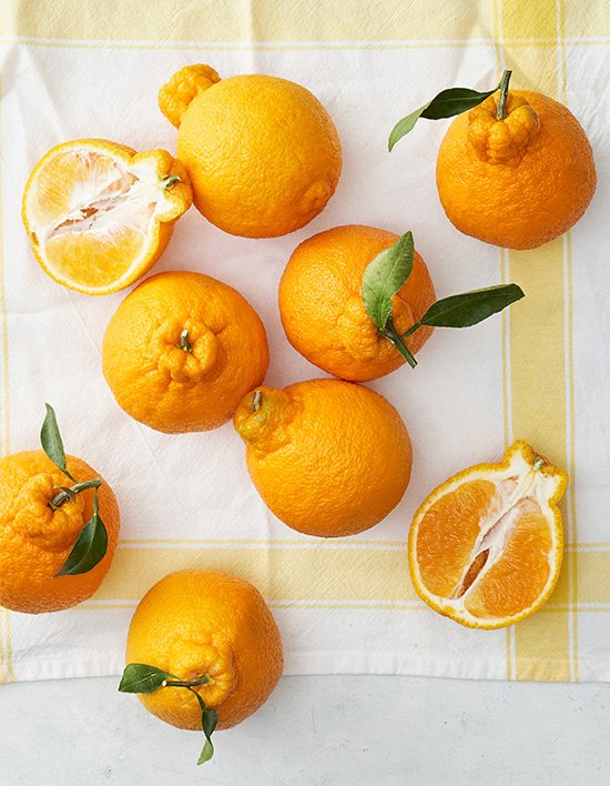 상품-대표-이미지 1