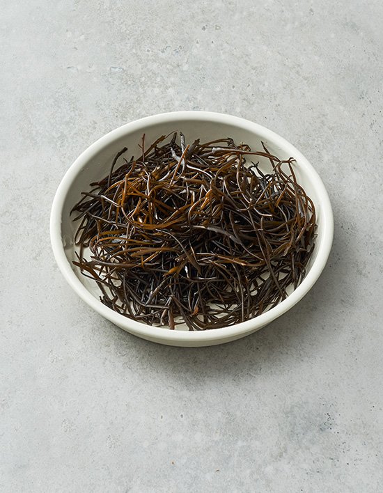 상품-대표-이미지 1