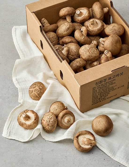 상품-대표-이미지 1