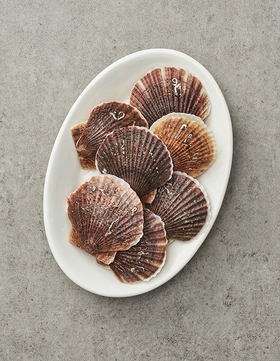 상품-대표-이미지 1