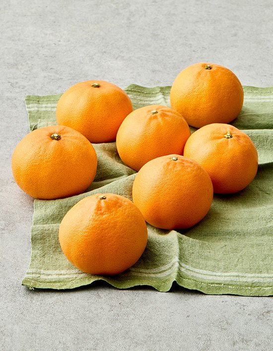 상품-대표-이미지 1