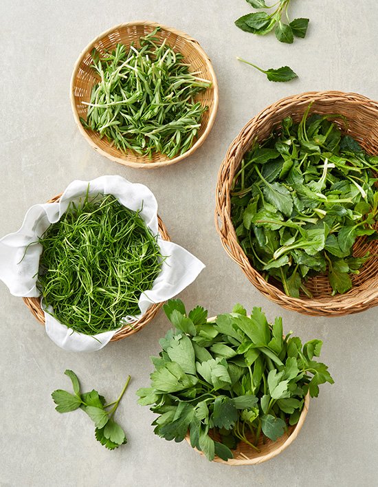 상품-대표-이미지 1