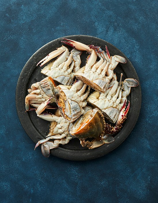 상품-대표-이미지 1