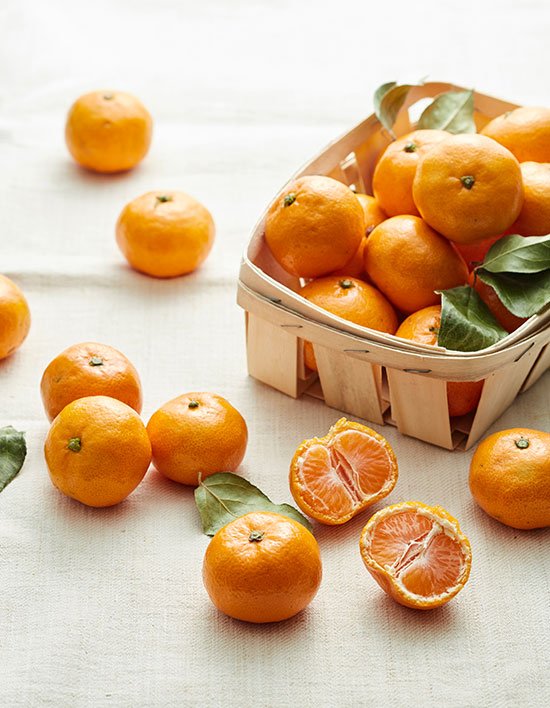 상품-대표-이미지 1