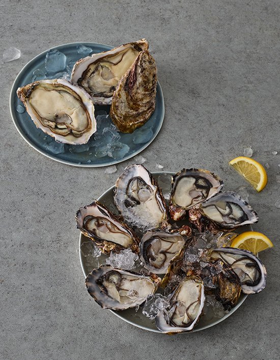 [스텔라마리스] 프리미엄 오이스터 2종 (택1)