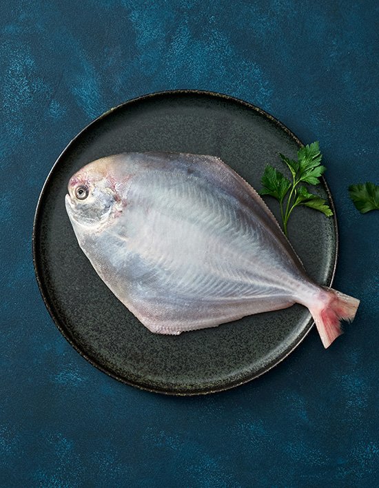 상품-대표-이미지 1