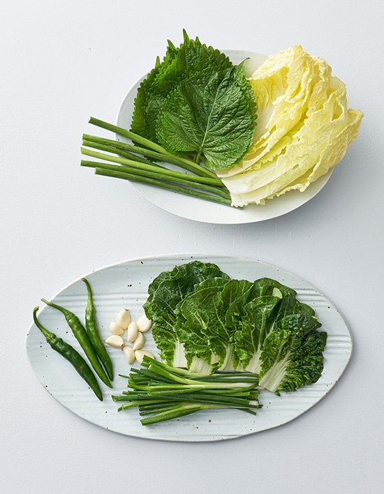 상품-대표-이미지 1