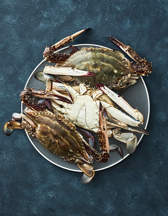 상품-대표-이미지 1