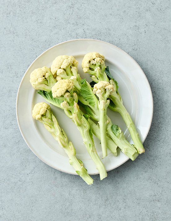 상품-대표-이미지 1