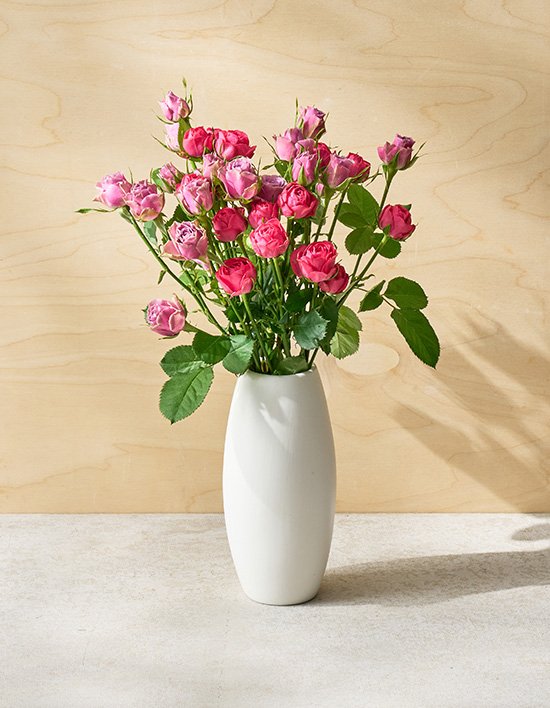 상품-대표-이미지 1