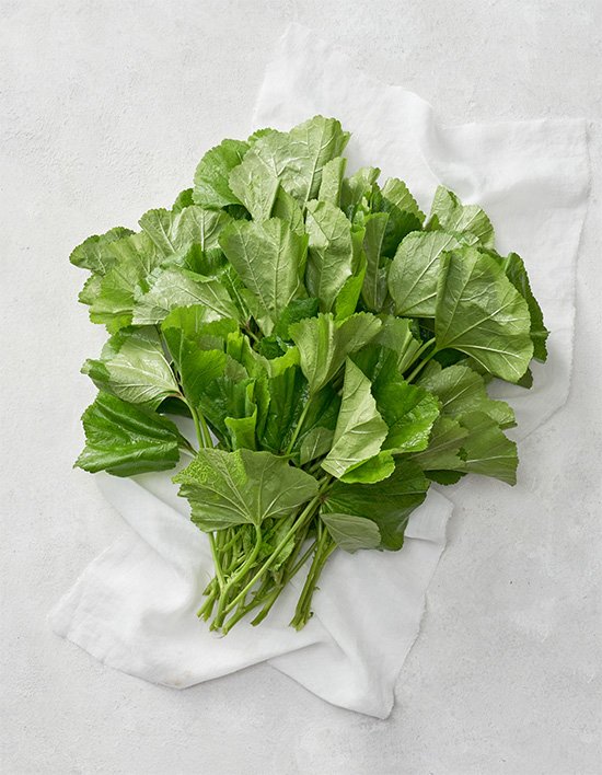 상품-대표-이미지 1