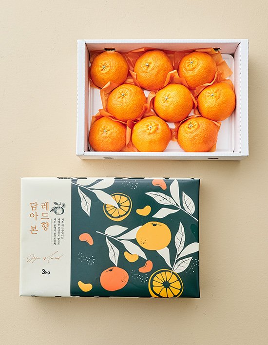 상품-대표-이미지 1