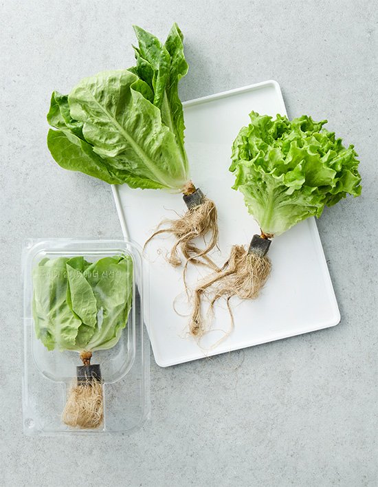 상품-대표-이미지 1